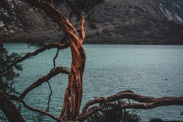 In the lake