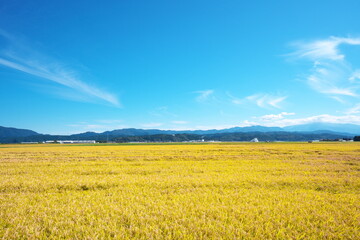 Beautiful countryside of Japan on a sunny day