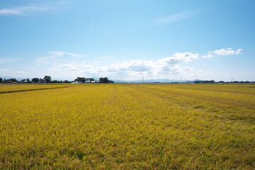 Fototapeta na wymiar Beautiful countryside of Japan on a sunny day