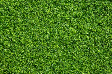 New Green Artificial Turf Flooring texture and background seamless