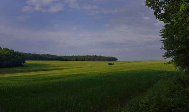 Scenic View Of Field Against Sky © winfried heidl/EyeEm