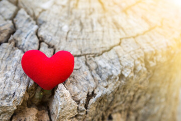 Fototapeta premium Red heart on old wood log with morning vintage warm light, love and romance concept, valentine's day background idea