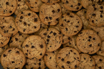 rich and crispy chocolate cookies