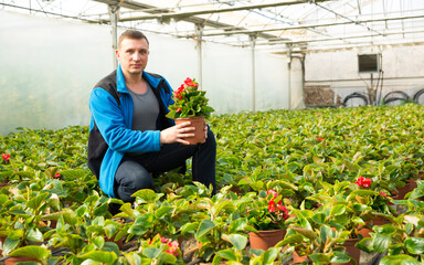 Man glasshouse farm worker examining houseplants in flowerpots