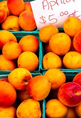 Farmers market bunch of apricots