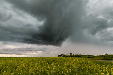Beautiful rural fields in spring, under dramatic stormy sky
