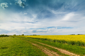 Fototapeta na wymiar Beautiful rural fields in spring, under dramatic stormy sky
