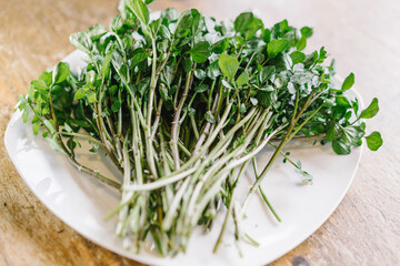 新鮮なクレソン。朝収穫しみずみずしい野菜。