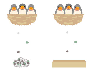 つばめ5　ツバメ　燕