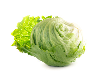 fresh iceberg lettuce swing, cabbage on white background .