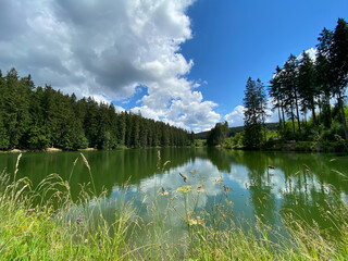 Lake in the national park Harz