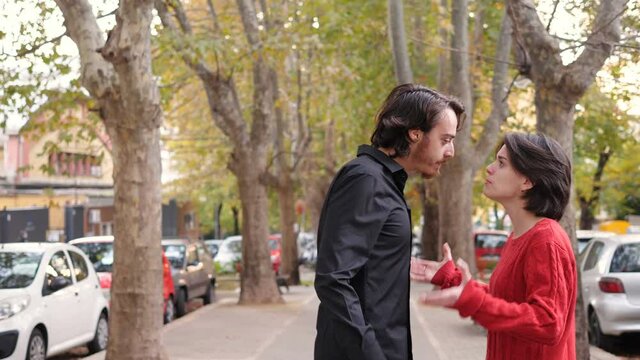 insults, violence - young couple insults each other by attacking each other
