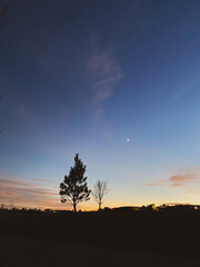 sunset in the desert