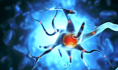 Obraz na płótnie Canvas Human nerve cell. 3d illustration.