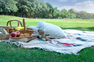 Picnic basket with fruit, bakery and teddy bear in public park, picnic cloth on green grass outside in summer park