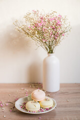 Gypsophila. Spring is coming concept. Flowers and candies. Modern ceramic vase with gypsophila. White wall background. Scandinavian interior. 