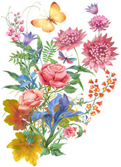 Garden flowers and herbs.Decorative  composition  isolated on white background