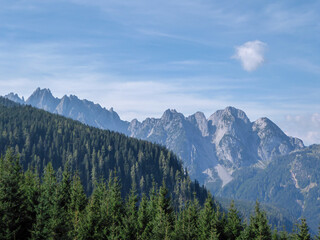 A panoramic view on high Alps in the region of Gosau, Austria. The lower mountains are overgrown with dense forest. The chains in the back are stony and barren. Clear, sunny day.