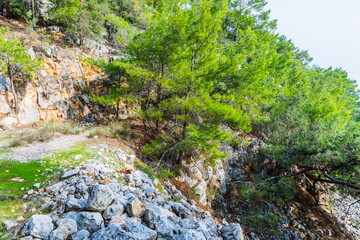 mountain path against the backdrop of a seascape on the Mediterranean coast of Antalya near Beldibi, Turkey