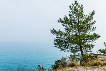 Fototapeta na wymiar Trees in the background of a seascape on the Antalya Mediterranean coast near Beldibi, Turkey