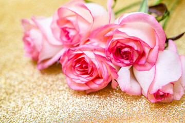 Fototapeta premium Pink rose on a shiny gold background 