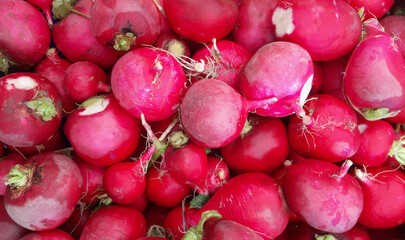 Red european radishes. The Radish texture background.