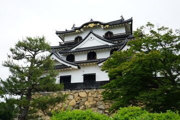 Hikone Castle with Blue Sky in Hikone City of Shiga Prefecture, Japan - 日本 滋賀県 彦根城 青空	