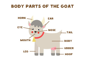 Body parts of the goat. Scheme for children.