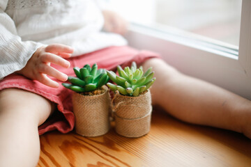 child Toddler with small indoor plants in his hands, interest in the world and plants and caring for house plants, soft focus and lifestyle, toning