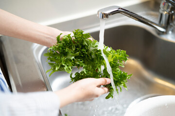 サラダを作る女性