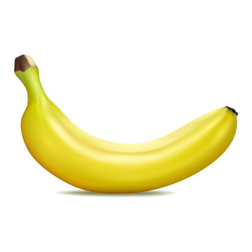 Banana realistic vector illustration Isolated on white background