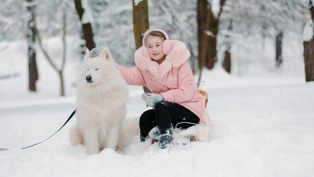 girl with a dog Samoyed