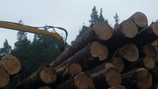 The manipulator transports logs in the logging industry.