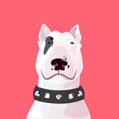 Vector portrait of dog English bull terrier. Modern dog breeds illustration. Interior poster template.