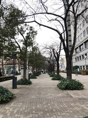 Obraz premium alley in the park