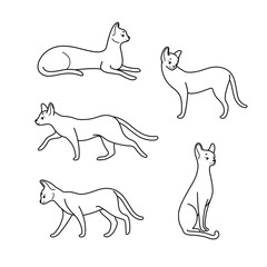 Cartoon cat icon set. Different poses of Asher cat. Vector contour illustration for prints, clothing, packaging, stickers.