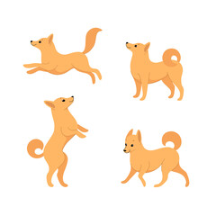 Fototapeta premium Cartoon dog icon set. Different poses of schipperke. Vector illustration for prints, clothing, packaging, stickers.
