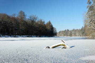 Stuttgart Parkseen im Winter