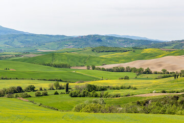 Fototapeta na wymiar Countryside view with fields and farmland