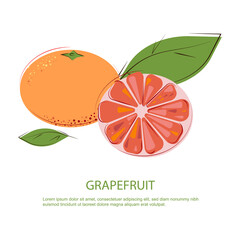 Pink Grapefruit. Juicy Grapefruit with Green Leafs. Grapefruit Slices and whole Grapefruits. © Ilona