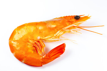 Tasty fresh Shrimp or prawn on white background..Close up photo.
