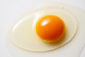 卵　生卵