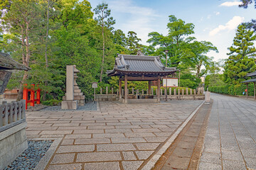 Fototapeta premium 京都 城南宮 菊水若水