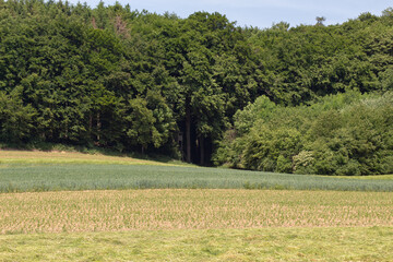 baumberge_02