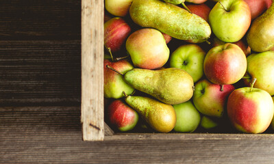 view from above on wooden box with aplles and pears
