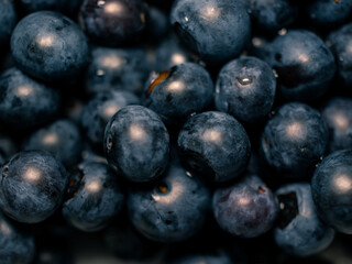 blueberries in a bowl