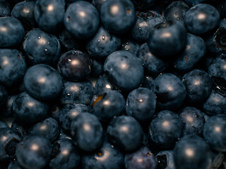 blueberries close up