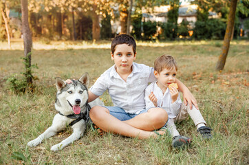 Owner walks with a dog. Family playing with dog in park. Children caressing dog outdoors. Children and a pet on a summer meadow. Boys lovingly embraces his pet dog. Veterinary medicine, animal care