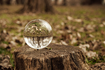 Crystal ball on a log in the park with a reflection of nature