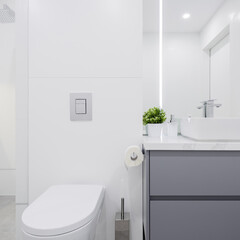 Small white bathroom with toilet